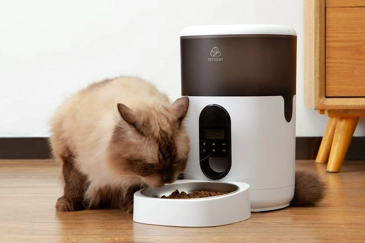 Automatic Cat Feeders