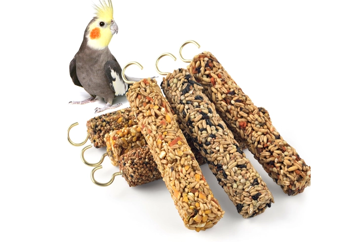 Bird food