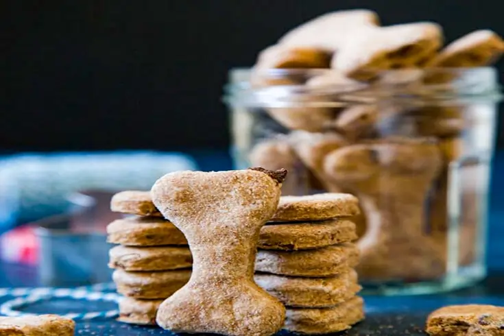 Healthy treats for dogs