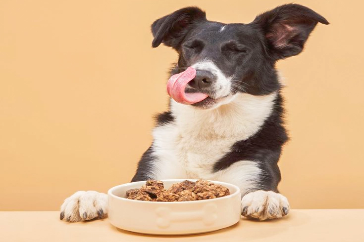 Healthy Dog Treats