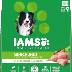 Adult Dry Dog Food