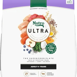 best dry dog food
