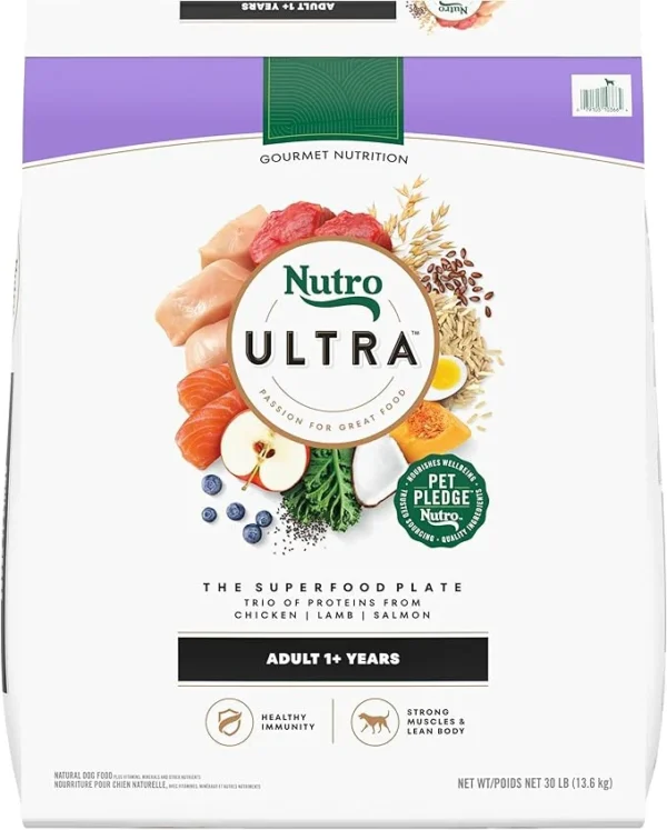 best dry dog food