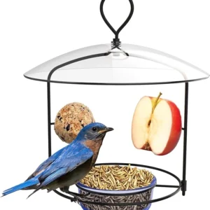 Fruit Bird Feeder