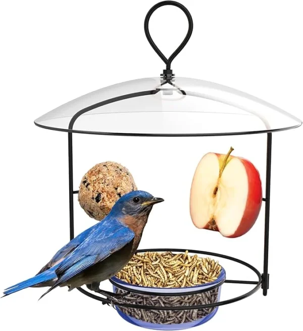 Fruit Bird Feeder