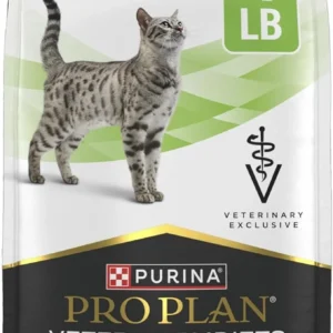 Dry Cat Food for pets