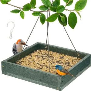 Platform Bird Feeder