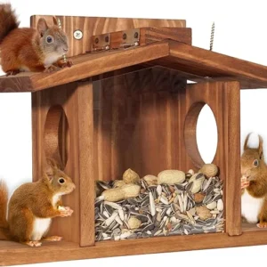 Bird Squirrel Feeder