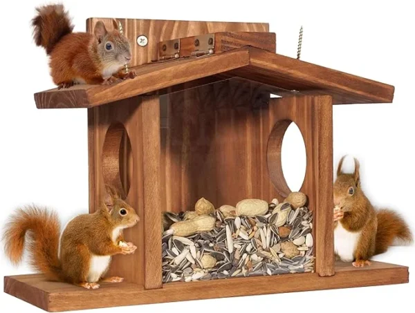 Bird Squirrel Feeder