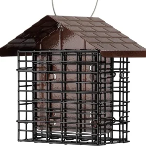 Suet Bird Feeder