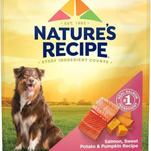 Grain Free Dry Dog Food