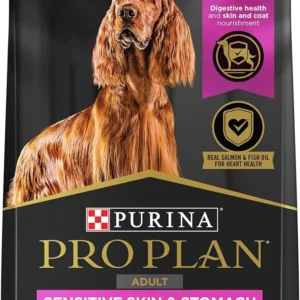 Best Dry Dog Food