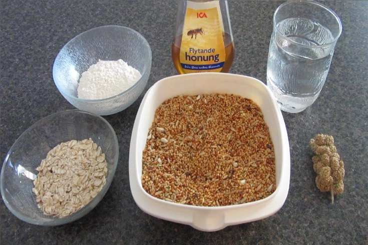 Homemade Bird Food